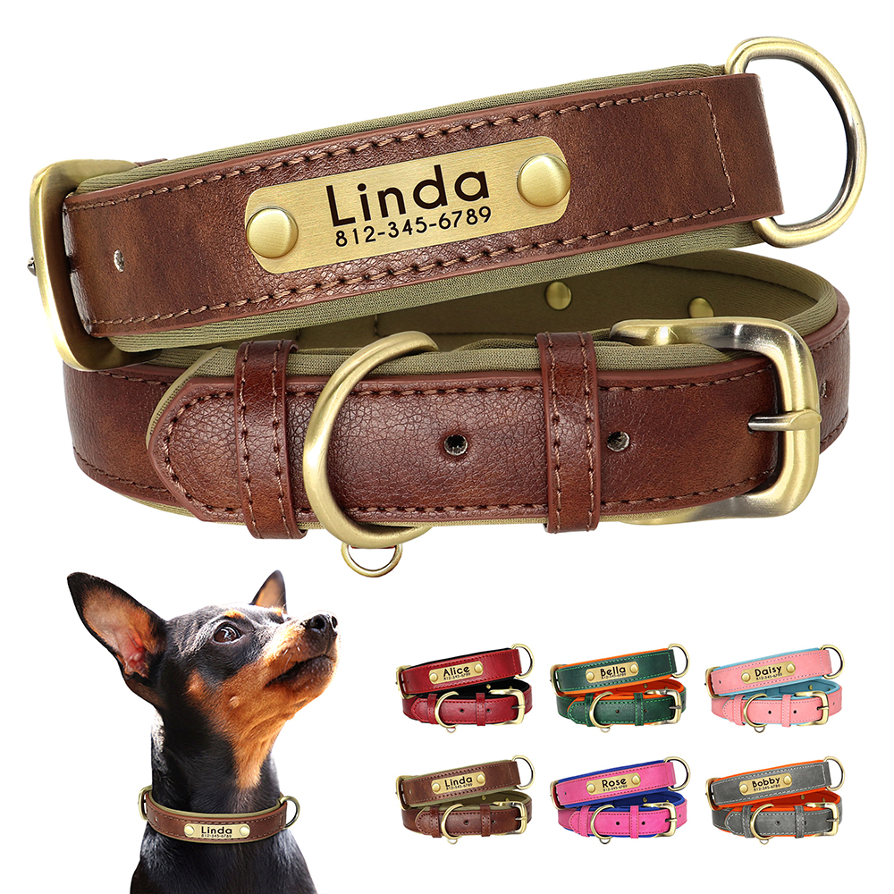 Custom-Leather-Dog-Collar-Soft-Padded-Dog-Collars-Personalized-Pet-ID-Necklace-Free-Engraved-Name-Paw